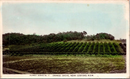 23-1-2024 (2 X 6) Australia - (very Old Colorised) NSW - Orange Grove Near Gosford - Andere & Zonder Classificatie