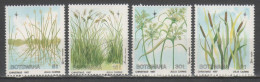 Botswana 1987 - Flora           (g9508) - Vegetazione