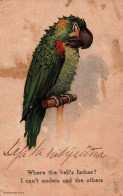 Postcard, Topic Animals,  Parrot Illustration - Collezioni E Lotti