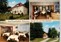 73912267 Hoppecke Brilon Ausflugslokal Pension Zum Plattenberg Gastraeume Park - Brilon