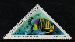 Maldives Cat 110 1963 Tropical Fish 3l Pygoplites Diacanthus, Mint Hinged - Maldivas (...-1965)