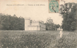 FRANCE - Environs De Cadillac - Château De Caila - Carte Postale Ancienne - Cadillac