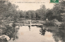 FRANCE - Fontainebleau - Forêt - Mare Aux Fées - Carte Postale Ancienne - Fontainebleau