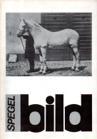 Suède Photographie : Spegel Bild N°1 (1977) - Scandinavian Languages