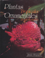 Platas Tropicales Ornamentales De Tallo Herbaceo. - Oude Boeken