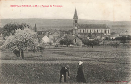 FRANCE - Rosny Sur Seine (S Et O) - Paysage De Printemps - Carte Postale Ancienne - Otros & Sin Clasificación