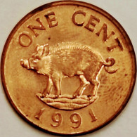 Bermuda - Cent 1991, KM# 44b (#3229) - Bermudas
