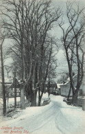 ROYAUME UNI - Leafless Boughs And Brooding Sky - Carte Postale Ancienne - Other & Unclassified