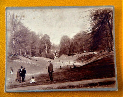 BRUXELLES  - BRUSSEL  -  Photo Ancienne Sur Carton  Dans Le Parc De Bruxelles  (11.5 X 9 Cm ) - Forêts, Parcs, Jardins