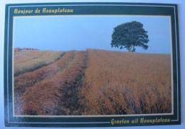 BELGIQUE - LUXEMBOURG - SAINTE-ODE - TILLET - Domaine De Beauplateau - Sainte-Ode