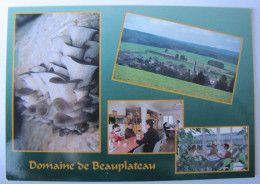 BELGIQUE - LUXEMBOURG - SAINTE-ODE - TILLET - Domaine De Beauplateau - Sainte-Ode