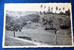 LONGUEVILLE  -  Pension  " Mon Sourire " - Chaumont-Gistoux