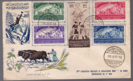 FDC  Oblitération Du 1 Er Jour  Exposition Agricole 1949 Egypte     Au Caire - Storia Postale