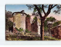 TULLINS : Derniers Vestiges D'un Château Fort Des Princes Du Dauphiné - état - Tullins