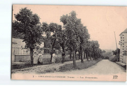 COULANGE LA VINEUSE : Les Promenades - Très Bon état - Coulanges La Vineuse