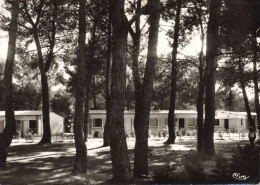 FRANCE - 83 - La Londe Les Maures - Pavillon Sud à Travers La Pinède - Carte Postale Ancienne - La Londe Les Maures