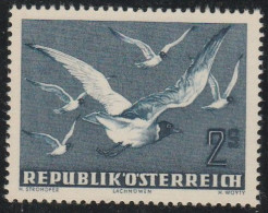 Austria - 1950 - Gabbiani, Bird 2s. N. A56. MNH - Ungebraucht