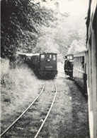 BELGIQUE - Warsage - Chemin De Fer Touristique De Belgique - Ancienne Ligne SNCV De Trembleur.. - Carte Postale Ancienne - Dalhem