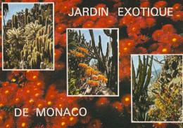 Monaco Le Jardin Exotique - Exotischer Garten