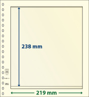 Paquet De 10 Feuilles Neutres Lindner-T 1 Bande 238 Mm - For Stockbook