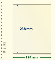 Paquet De 10 Feuilles Neutres Lindner-T 1 Bande 238 Mm - For Stockbook