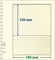 Paquet De 10 Feuilles Neutres Lindner-T 1 Bande 150 Mm - De Bandas