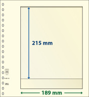 Paquet De 10 Feuilles Neutres Lindner-T 1 Bande 215 Mm - Für Klemmbinder