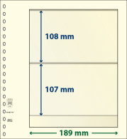 Paquet De 10 Feuilles Neutres Lindner-T 2 Bandes 107 Mm Et 108 Mm - Für Klemmbinder