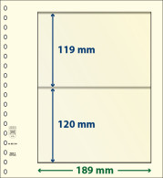 Paquet De 10 Feuilles Neutres Lindner-T 2 Bandes 120 Mm Et 119 Mm - Für Klemmbinder