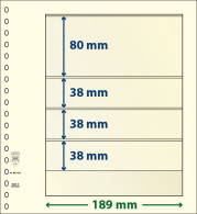 Paquet De 10 Feuilles Neutres Lindner-T 4 Bandes 38 Mm,38 Mm,38 Mm Et 80 Mm - Für Klemmbinder