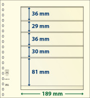 Paquet De 10 Feuilles Neutres Lindner-T 5 Bandes 81 Mm,30 Mm,36 Mm,29 Mm Et 36 Mm - For Stockbook