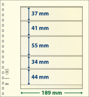 Paquet De 10 Feuilles Neutres Lindner-T 5 Bandes 44 Mm,34 Mm,55 Mm,41 Mm Et 37 Mm - For Stockbook