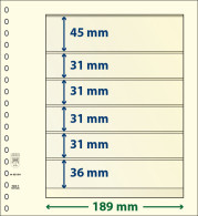 Paquet De 10 Feuilles Neutres Lindner-T 6 Bandes 36 Mm,31 Mm,31 Mm,31 Mm,31 Mm Et 45 Mm - For Stockbook