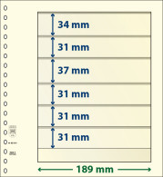 Paquet De 10 Feuilles Neutres Lindner-T 6 Bandes 31 Mm,31 Mm,31 Mm,37 Mm,31 Mm Et 34 Mm - For Stockbook