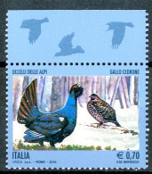 ITALIA / ITALIA 2013** - Uccelli Delle Alpi - "Gallo Cedrone" - 1 Val. MNH. - Gallinacées & Faisans