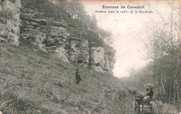 LUXEMBOURG - Echternach - Environs De Consdorf - Rochers Dans La Vallée De La Herdbach - Carte Postale Ancienne - Echternach