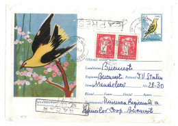 IP 61 B - 0411za Bird, ORIOLE - REGISTERED EXPRESS Stationery ( Little Fixed Stamp ) - Used - 1961 - Climbing Birds