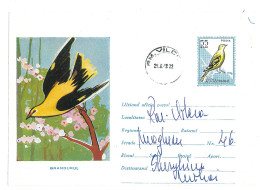 IP 61 B - 0411xa Bird, ORIOLE, Romania - Stationery ( Big Fixed Stamp ) - Used - 1961 - Pics & Grimpeurs