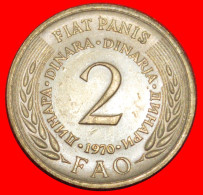 * COMMUNIST STAR (1971-1981): YUGOSLAVIA  2 DINARS 1975 RARE DIE 1!  · LOW START ·  NO RESERVE! - Jugoslavia