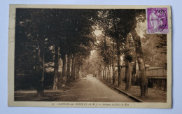 CPA 77 - SAMOIS Sur SEINE Avenue De Bois Le Roi - Samois