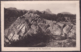 Alp Tannenboden  Luegenfels - Berg