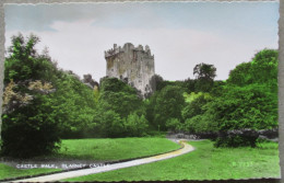 IRLAND UK UNITED KINGDOM CASTLE WALK BLARNEY AK KARTE CARD POSTKARTE POSTCARD ANSICHTSKARTE CARTOLINA CARTE POSTALE - Collezioni E Lotti