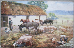 IRLAND UK UNITED KINGDOM IRISH FARMYARD AK CP PC KARTE CARD POSTKARTE POSTCARD ANSICHTSKARTE CARTOLINA CARTE POSTALE - Collections & Lots