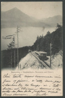 Carte P De 1905 ( Beatenberg / Drahtseilbahn, Thunersee Und Niese ) - Beatenberg