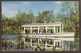 Silver Springs, Florida - Glass Bottom Boats Nature's Underwater Fairyland" - Silver Springs