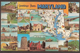 Maryland Map - State Bird Baltimore Oriole, Flower: Black Eyed Susan, Golf - Andere & Zonder Classificatie