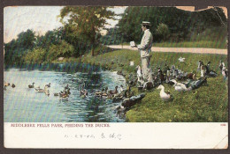 Middlesex Fells Park - Feeding The Ducks - Malden, Medford, Stoneham, Melrose, Winchester. - Boston