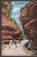 The Narrows - Williams Canon, Colorado With Horse Or Hinney - Sonstige & Ohne Zuordnung