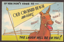 Maine - Old Orchard Beach - Horse - Autres & Non Classés