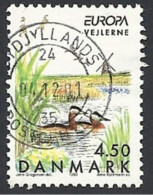 Dänemark 1999, Mi.-Nr.  1211, Gestempelt - Usati